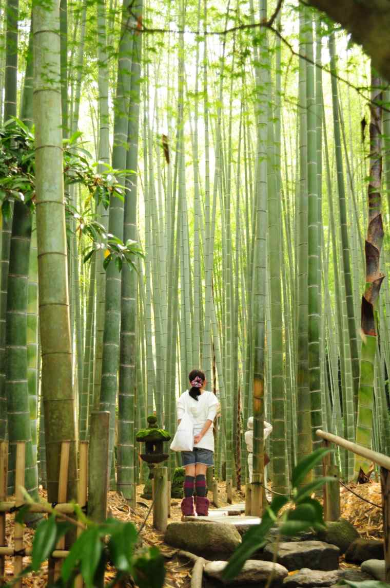 bambou déco jardin idée extérieur décoration originale