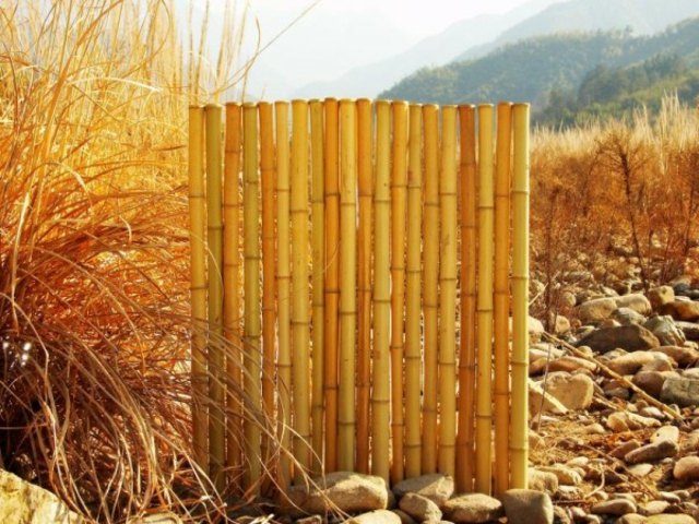 clôture bambou nature