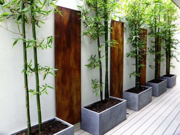  bambou déco jardin idee
