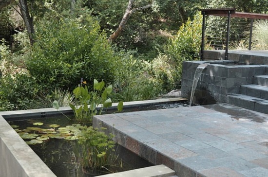 idee decoration jardin bassin eau