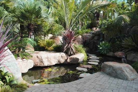 idee design jardin aquatique