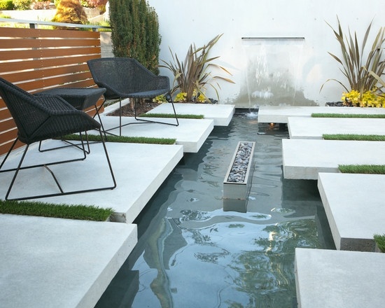 idee jardin bassin aquatique design