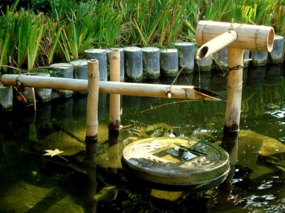 jardin aquatique bambou deco
