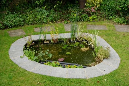 jardin bassin eau idee