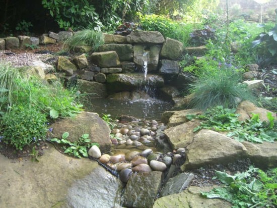 jardin bassin eau pierre