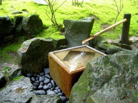jardin bassin eau zen