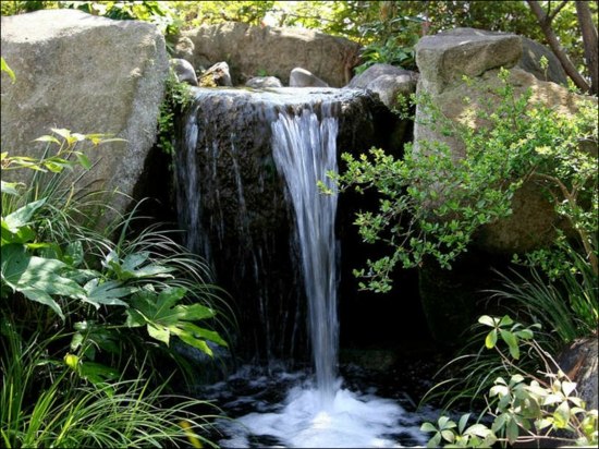 jardin cascade eau