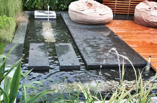jardin moderne bassin aquatique