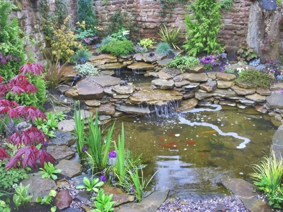jardin zen bassin eau