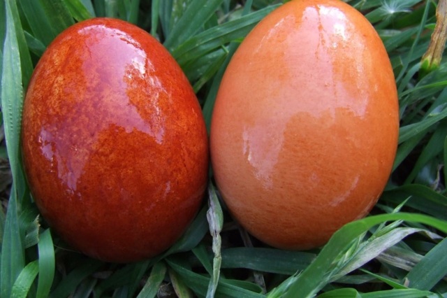 œufs de Pâques lustrés huile olive