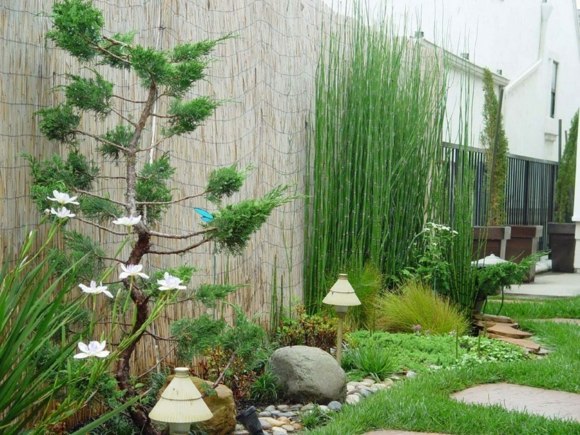 petit jardin bambou deco
