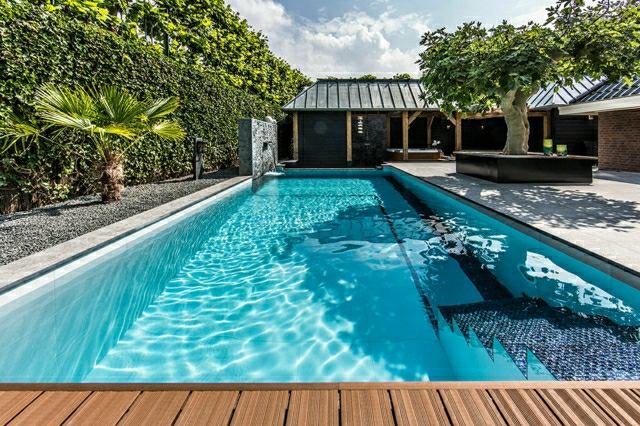 piscine grande jardin idée bois aménagement beau luxe
