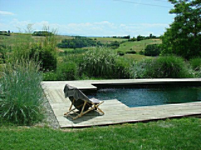 piscine naturelle intégrée chaise longue bois 