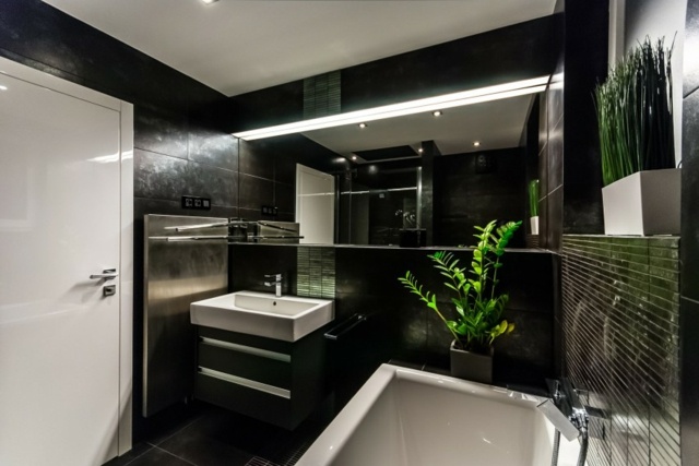 salle de bain couleur noire