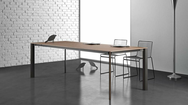 table design Salix Valcucine bois métal 
