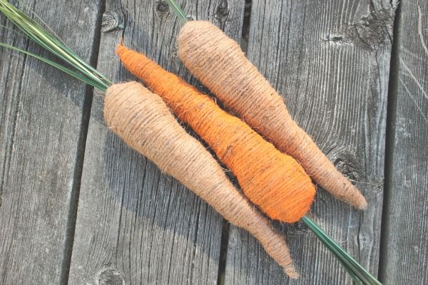 vue carottes DIY