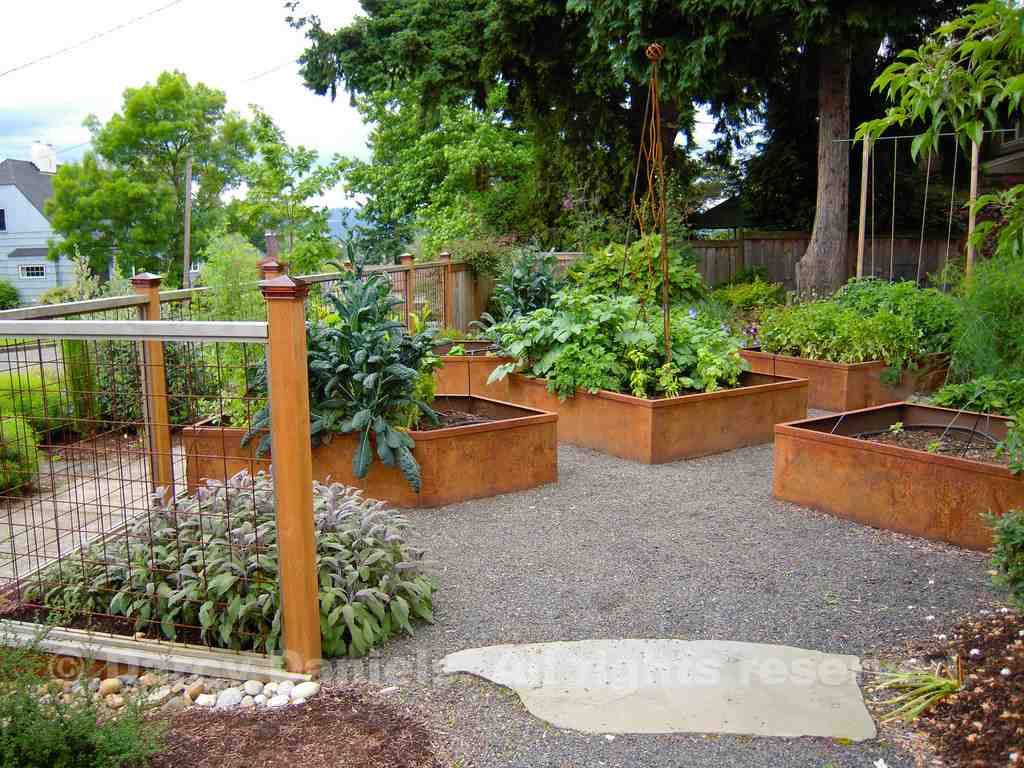 bacs de jardin en acier fleurs plantes 