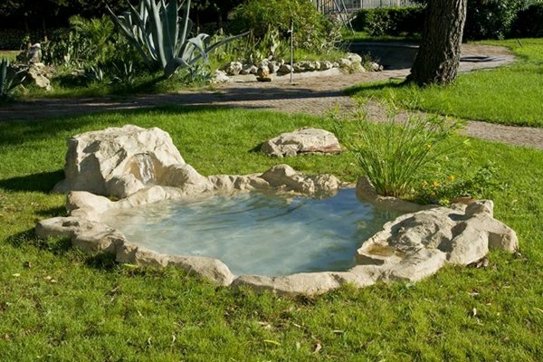 bassin aspect rochers