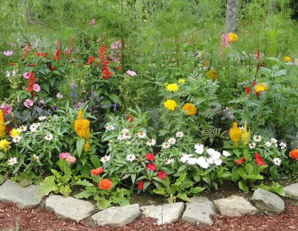 bordures jardin pave fleurs