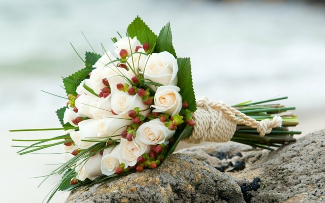 bouquet roses blanc