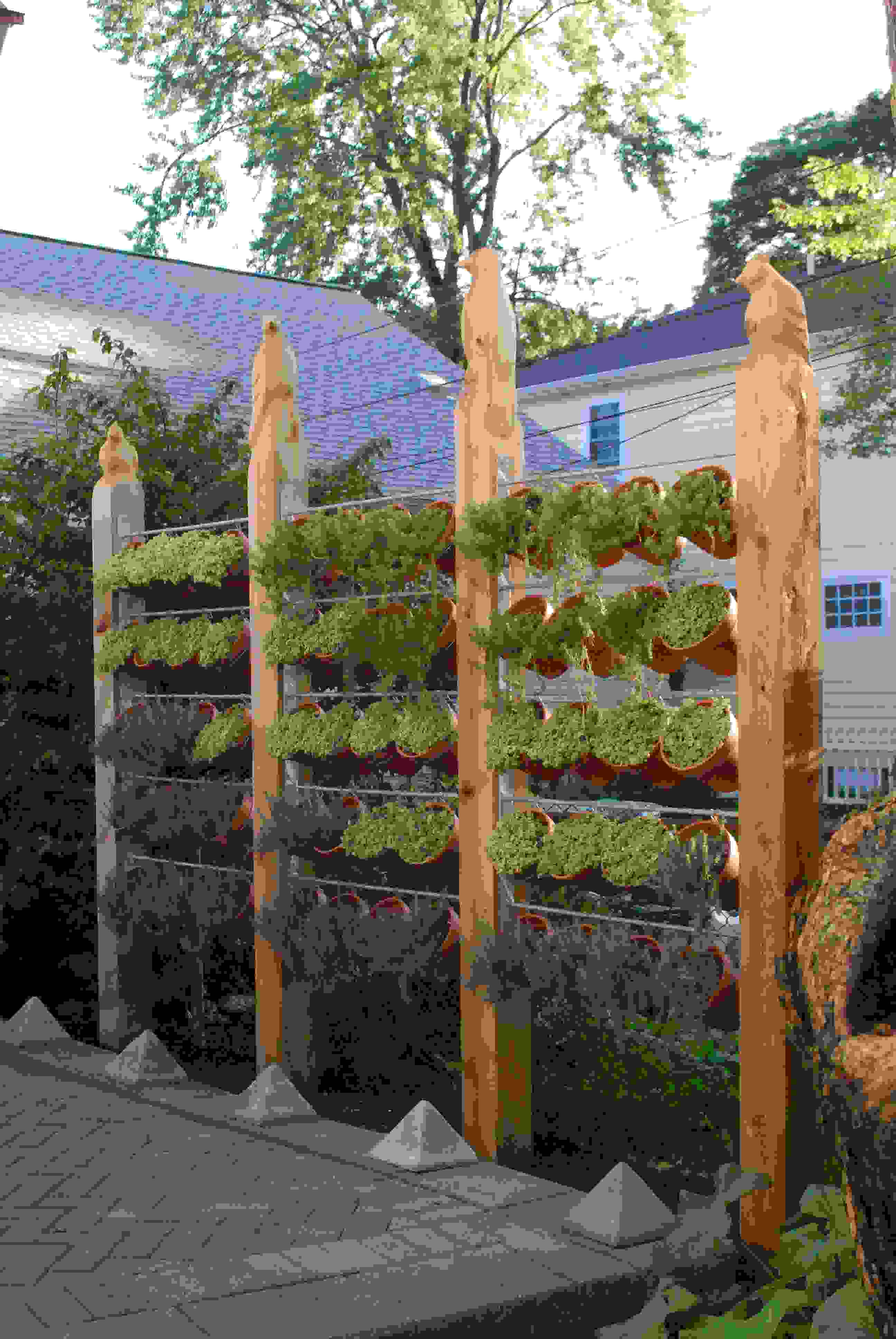 clôture jardin original pot de fleurs mur bois idées