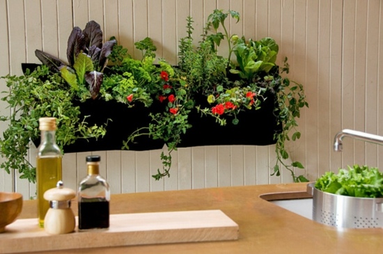 idee jardin legumes interieur