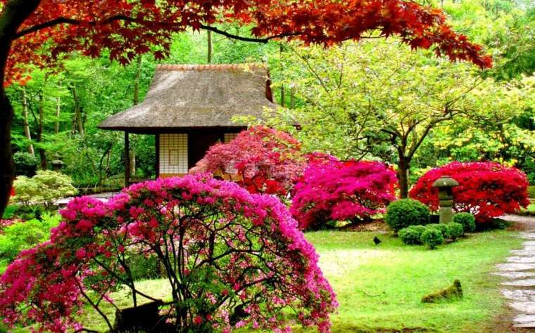 aménager jardin japonais idée arbres 