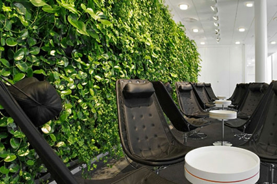 Aménager un jardin intérieur: 105 idées de design original