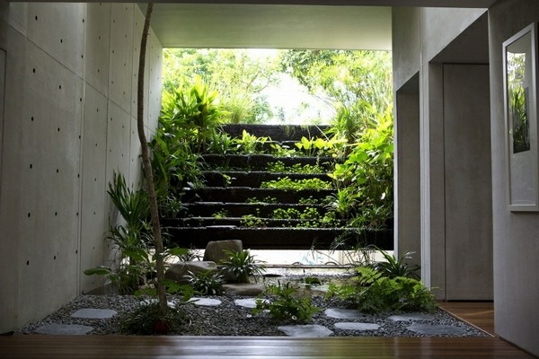 jardin d'intérieur ombragé terrasse