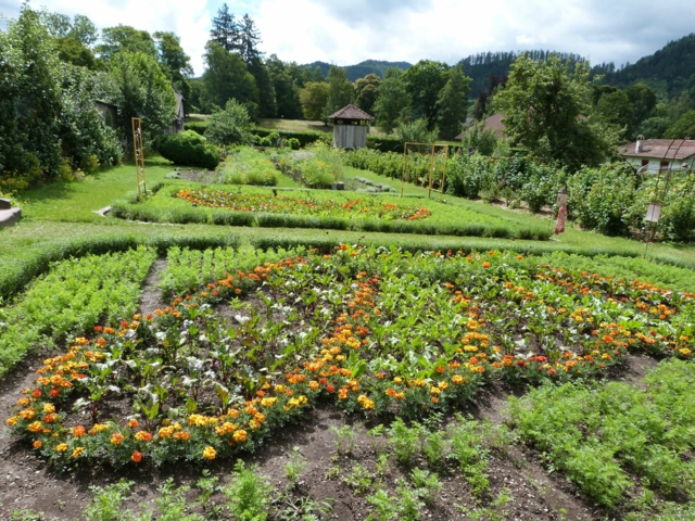 aménagement jardin paysage idée originale fleurs orange