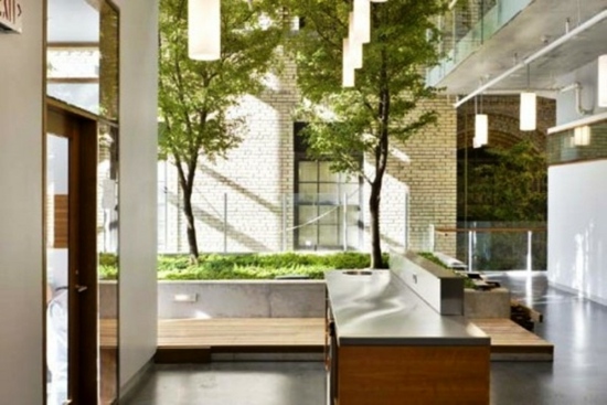 jardin design moderne intereiur