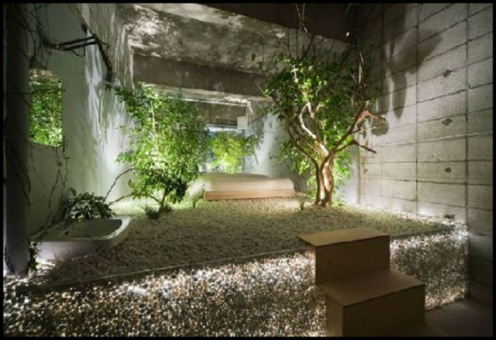 Aménager un jardin intérieur: 105 idées de design original