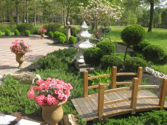 jardin japonais pont bois