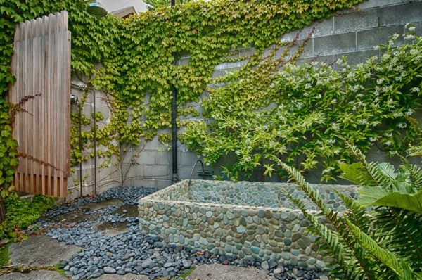 jardin lierre grimpant mur