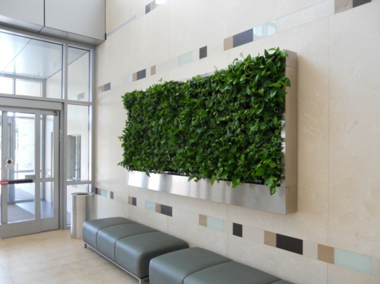 mur vegetal design moderne