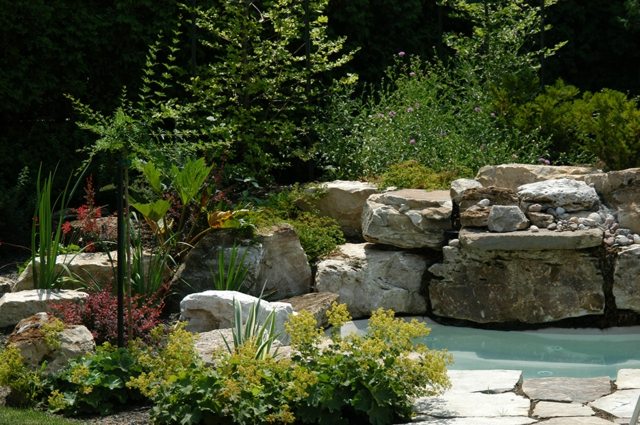 décoration jardin rocaille bassin