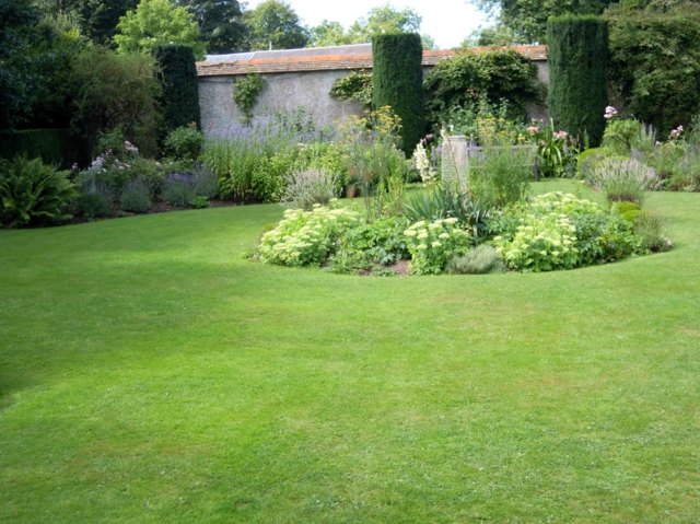 zoom pelouse jardin