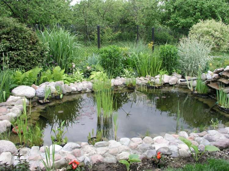 bassin jardin bordures pierre