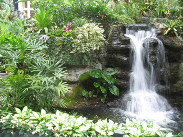 bassin jardin cascade idee