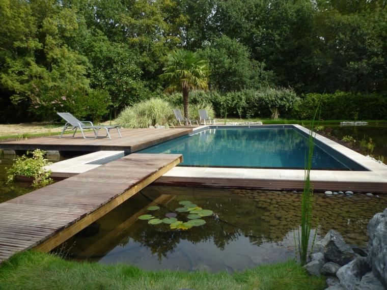 bassins de jardin contemporain