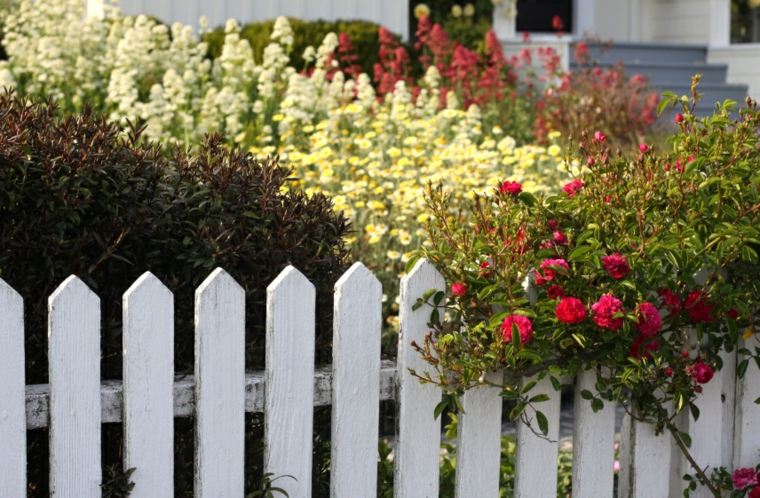 clôture jardin bois blanche idée déco fleurs 