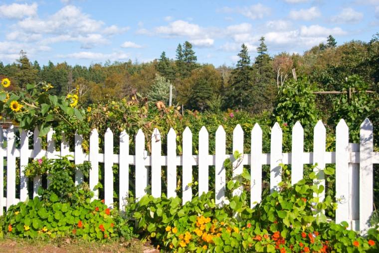 jardin clôture blanche bois classique fleurs 