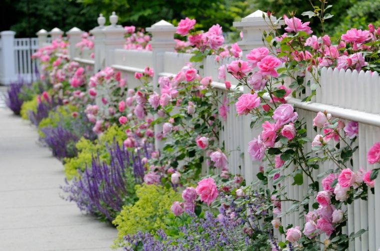 clôture de jardin décorée fleurs roses 