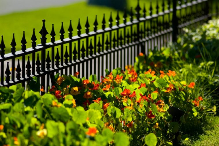 clôture basse noire fleurs 