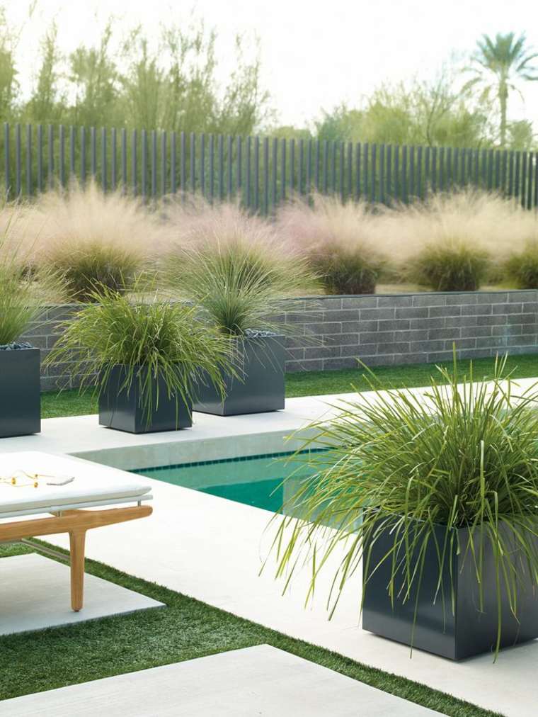 décorer son jardin plante fleurs idée originale piscine 
