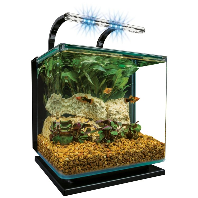 decor petit aquarium moderne