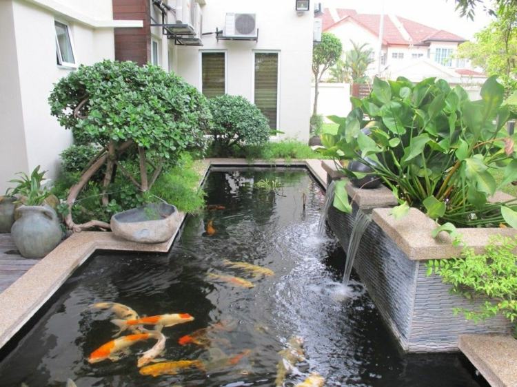 grand bassin jardin poissons