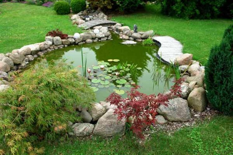 idee amengement jardin bassin