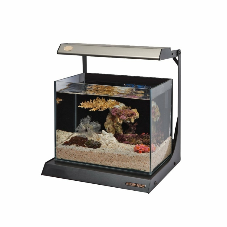 idee decor aquarium moderne