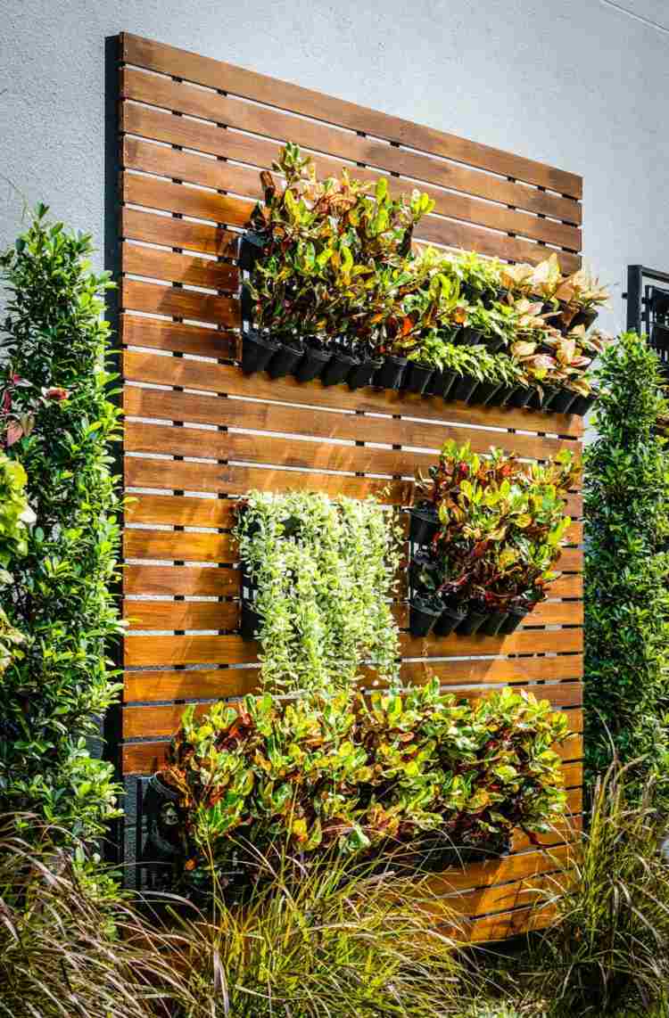 mur vegetalise bois design
